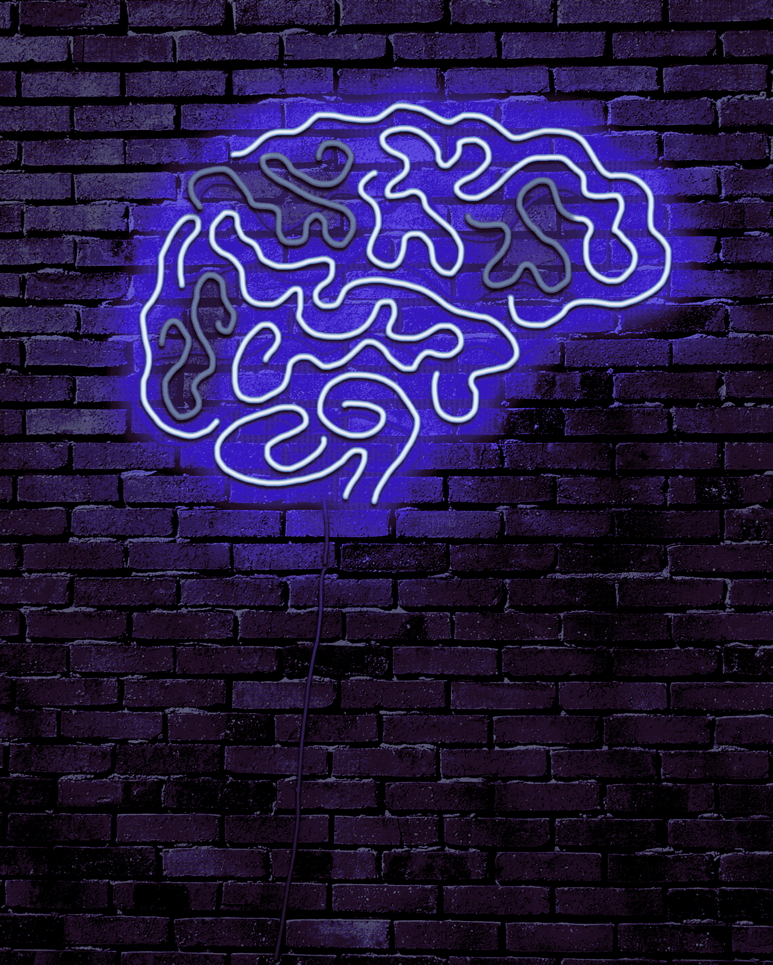 brain-gif4.gif