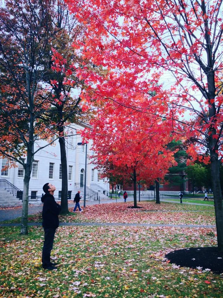 considering autumn