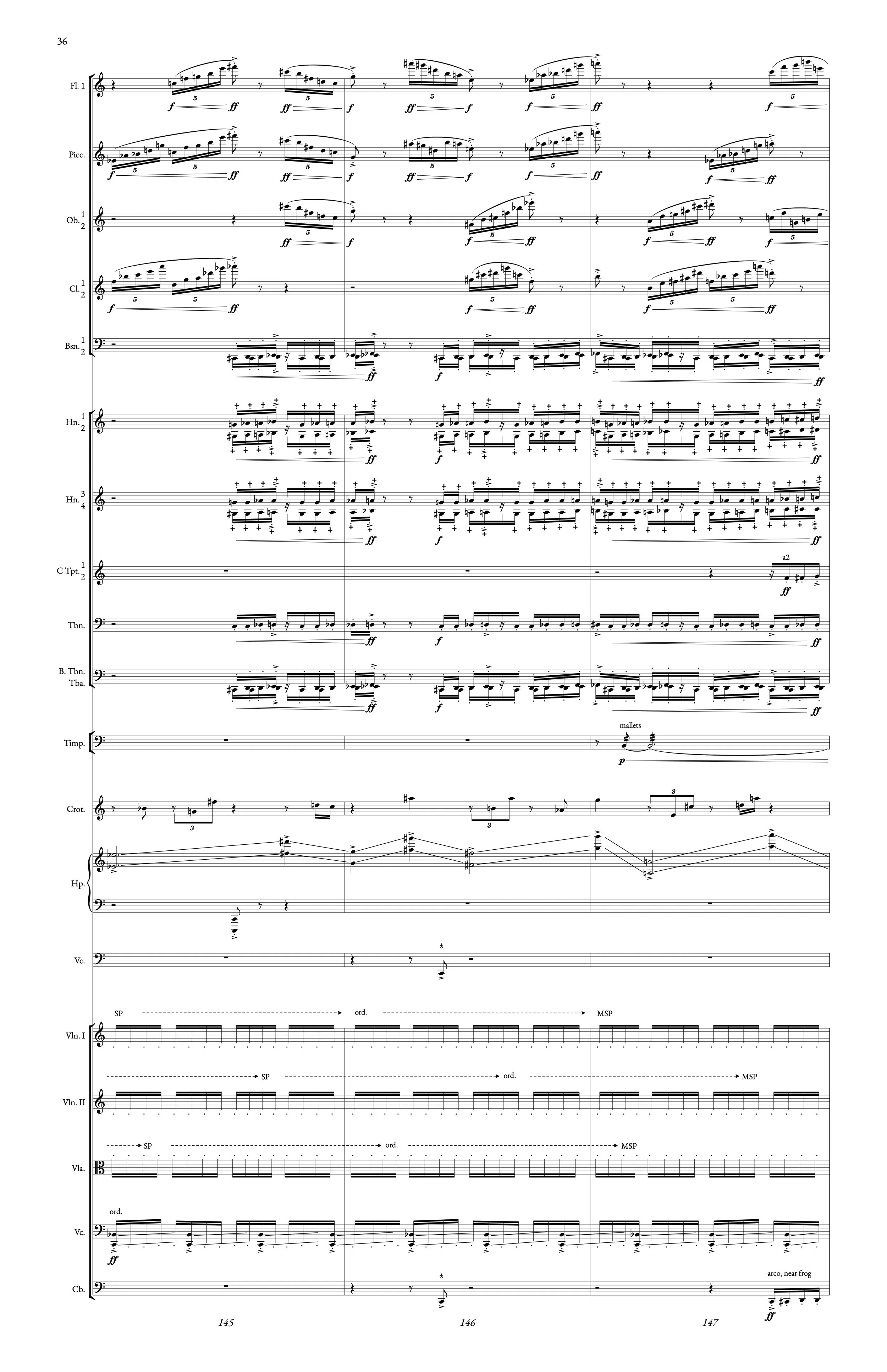 cetacean pg 36.jpg