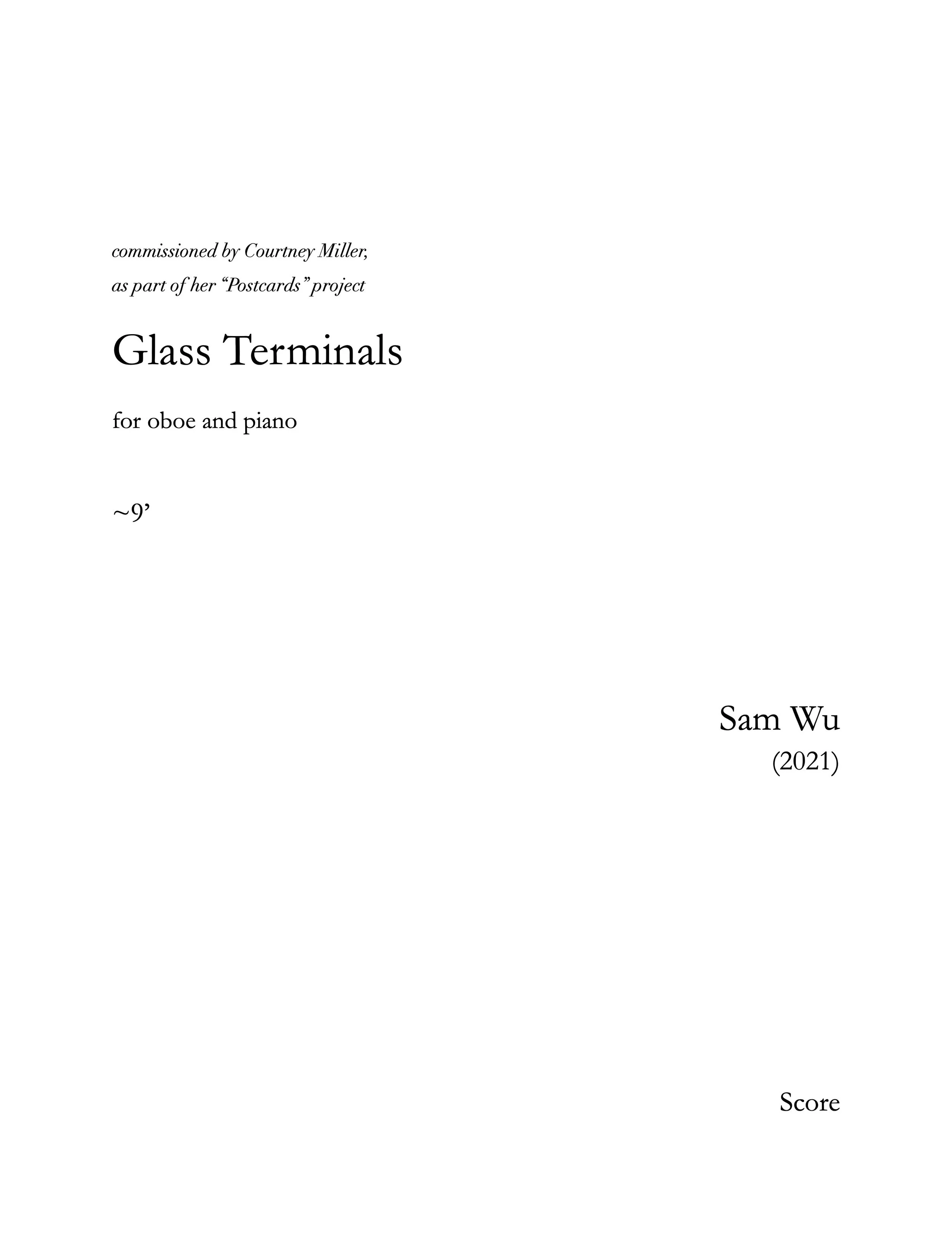 Glass Terminals cover.jpg