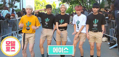 tumblr_oqki7kYgl11vmvgo8o1_500.gif