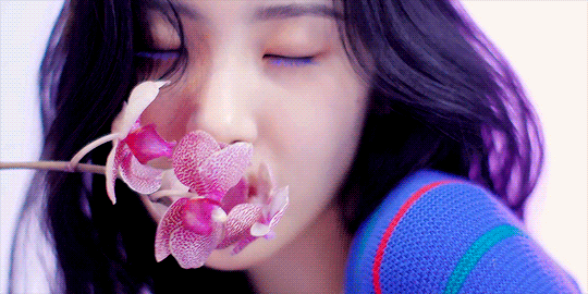 original.gif