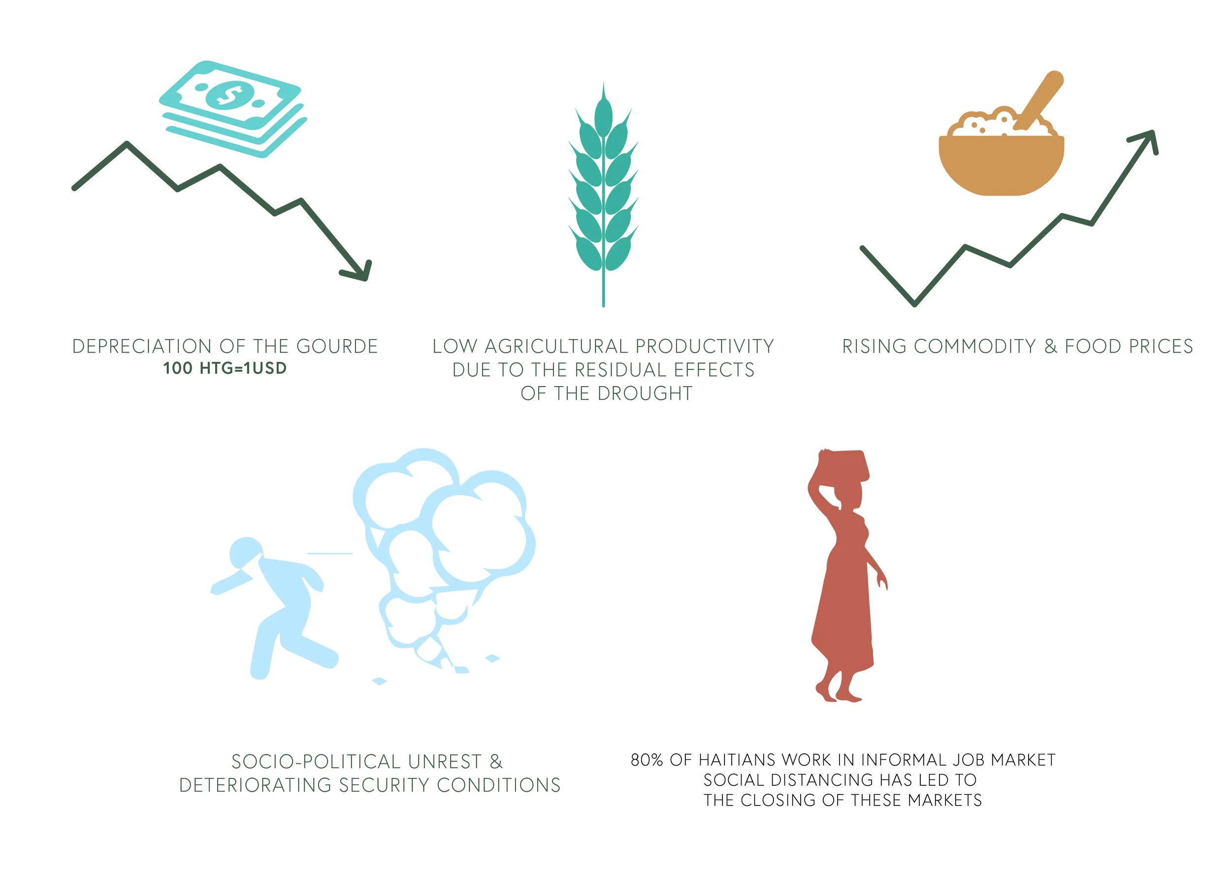 VectorRice-square-02.jpg