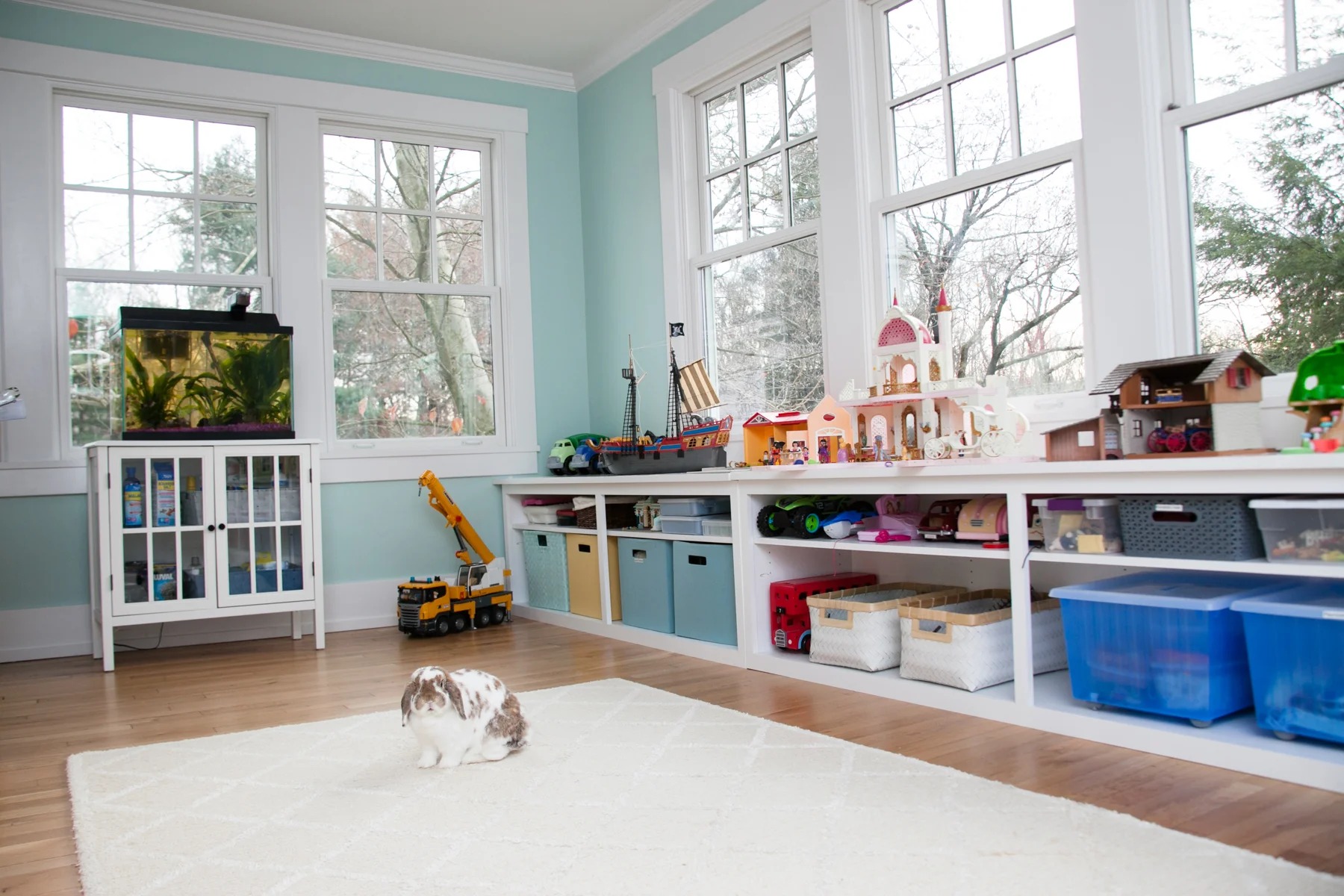 Playroom Shelves