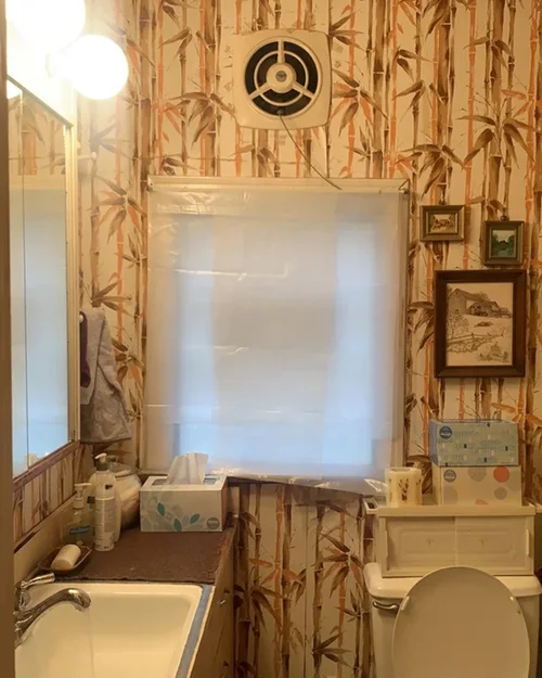 Before image
