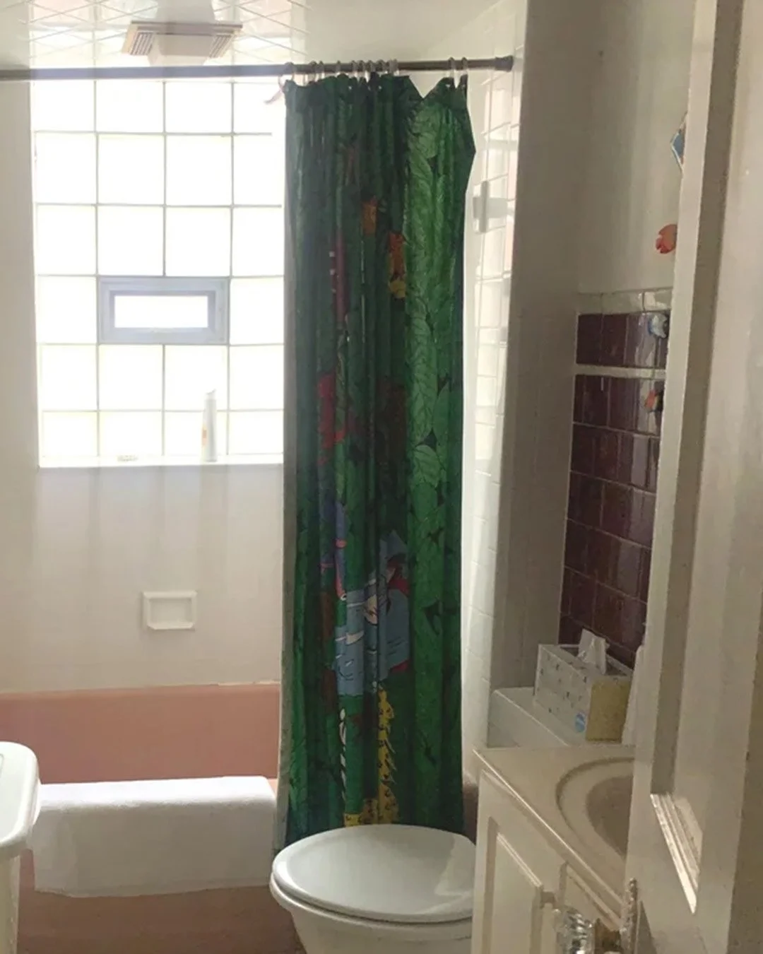 2nd bath before.jpg
