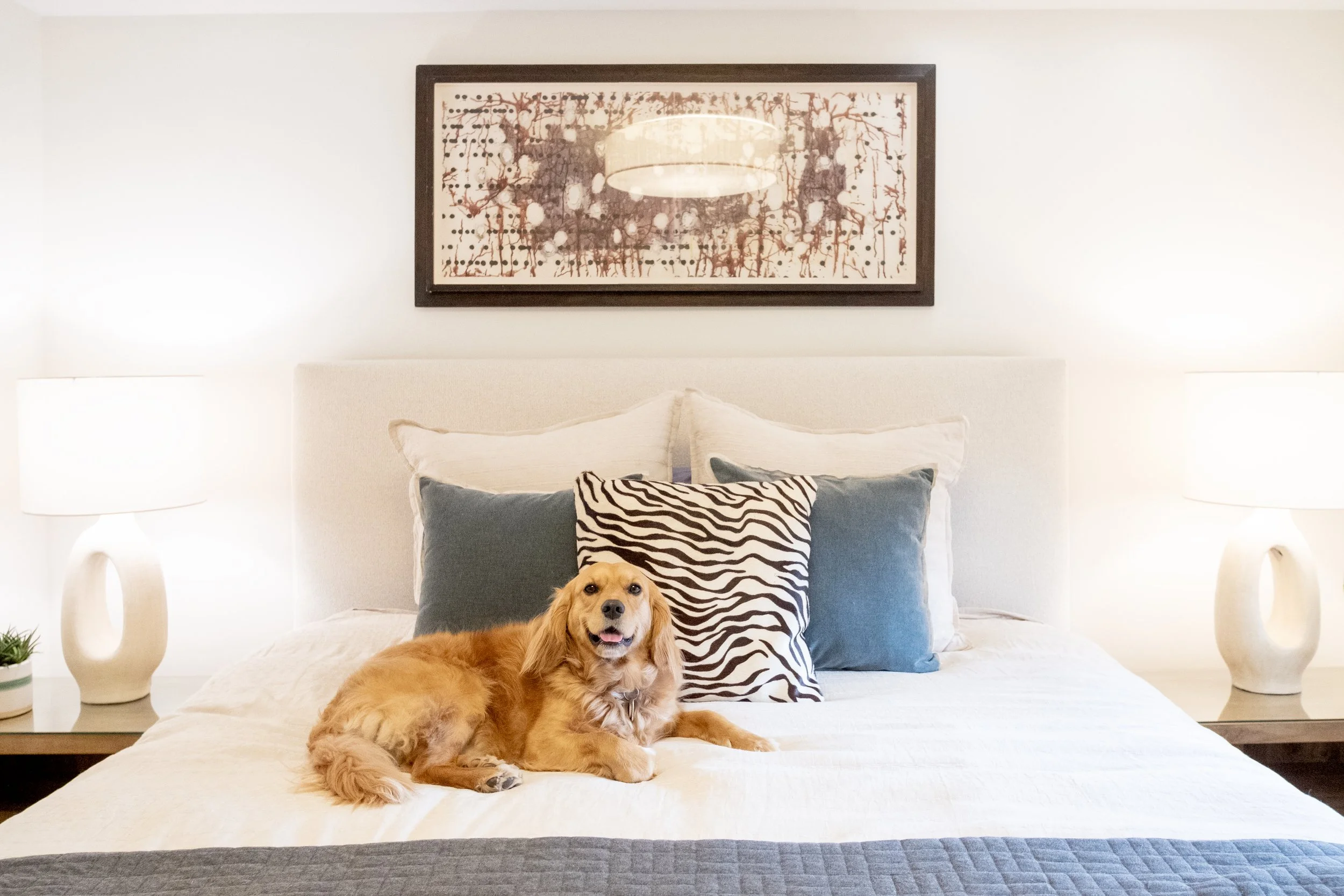 5329 fair oaks puppy F6607 r ad.jpg