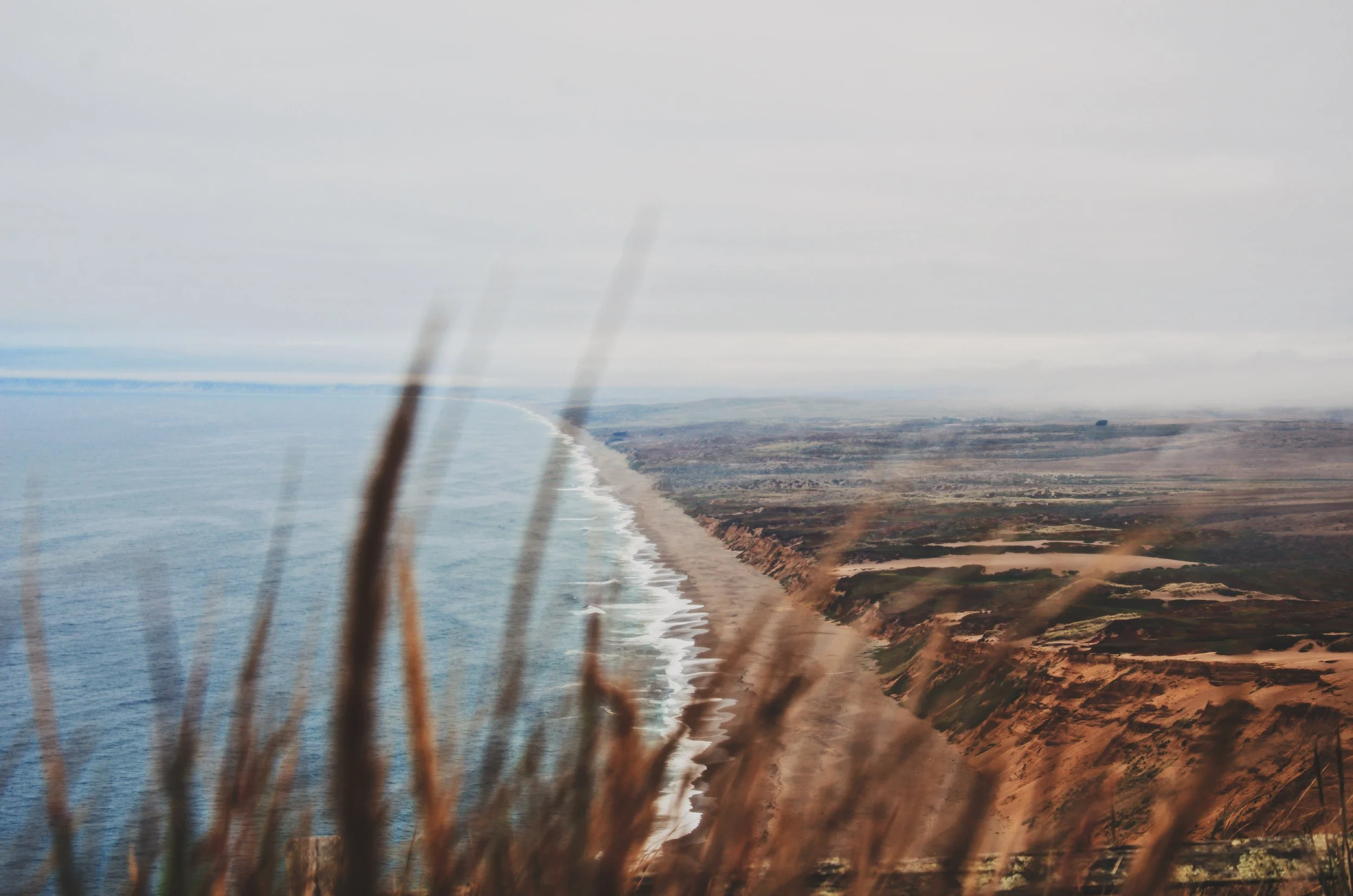 AA9AA84D-AE16-4573-A8E7-EBF05B1320EA.JPG