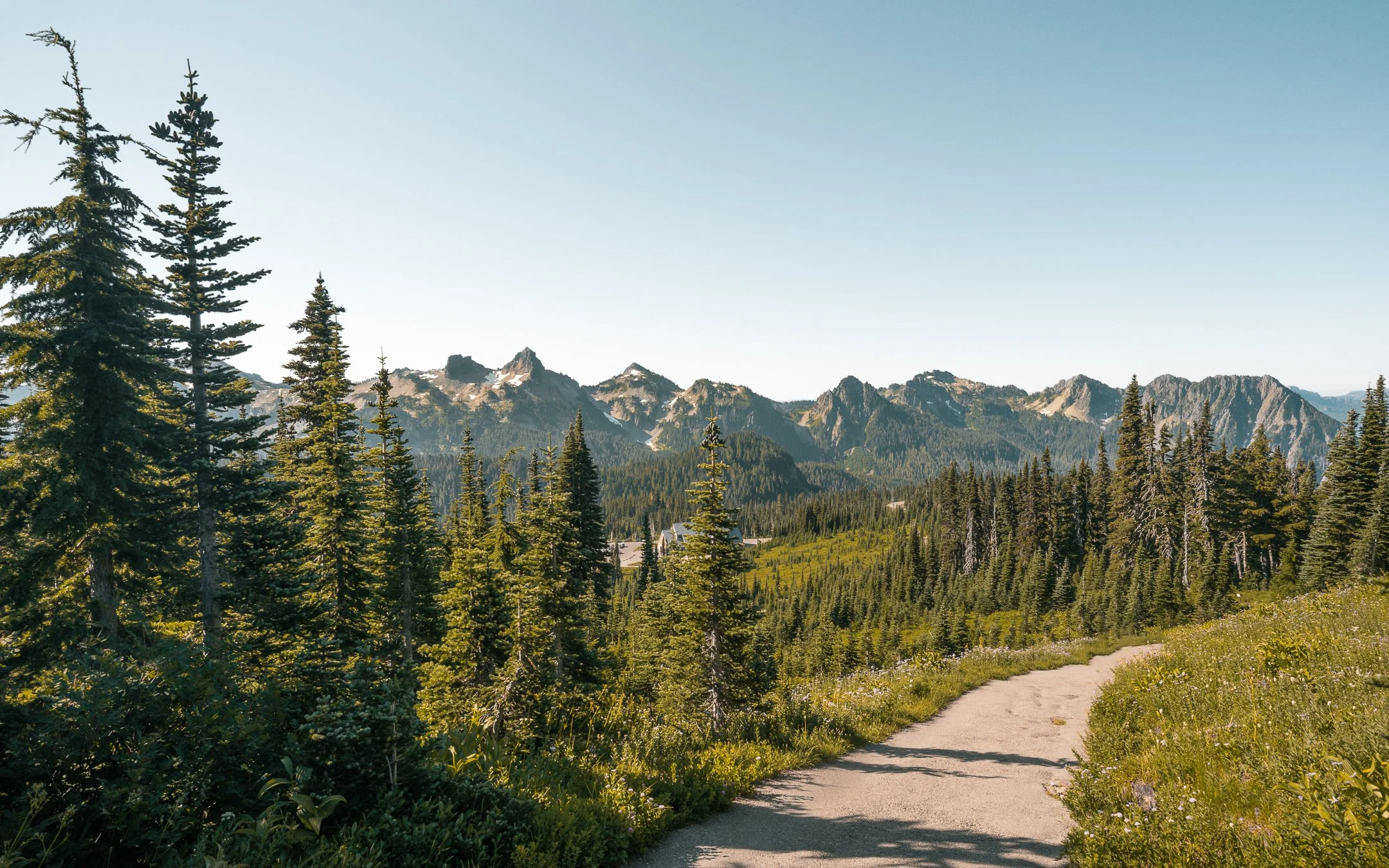 Mt Rainier_PS.jpg