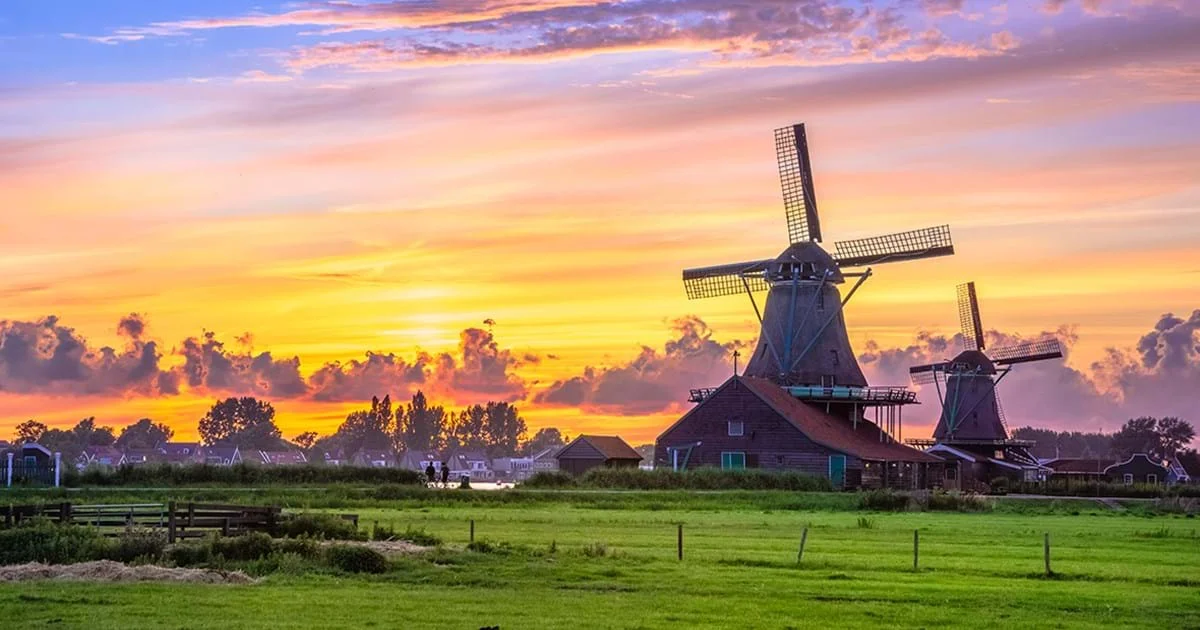 holland2.jpeg