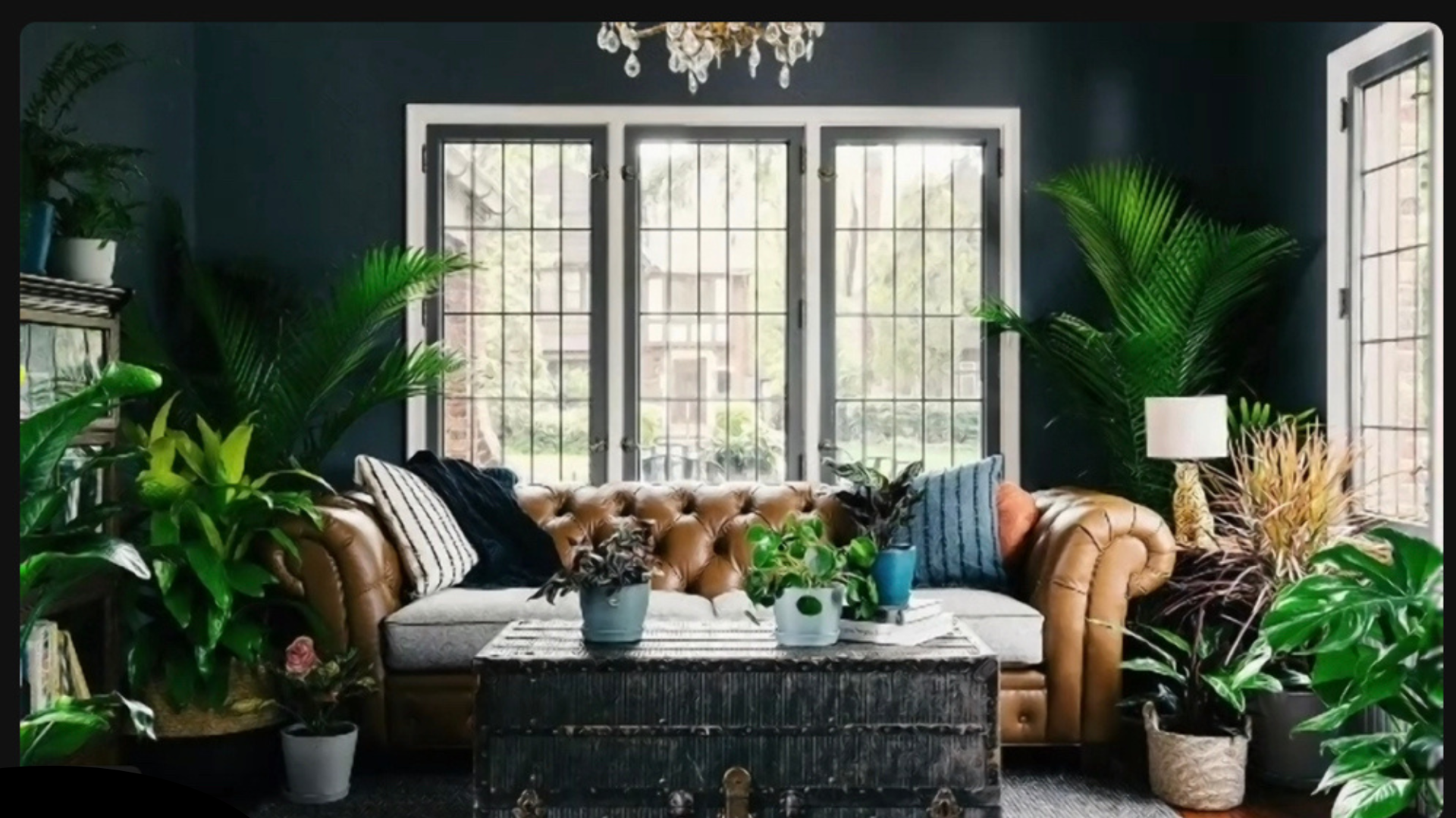 ZoomBackground.png