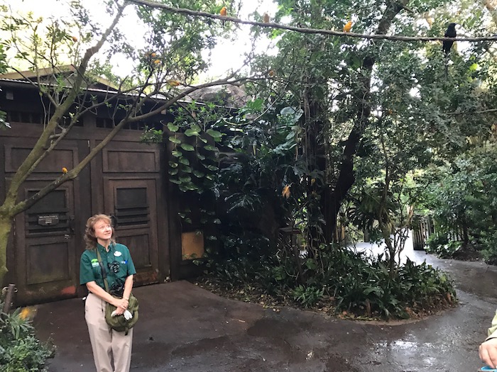 disney backstage tours animal kingdom backstage tales guide.jpg
