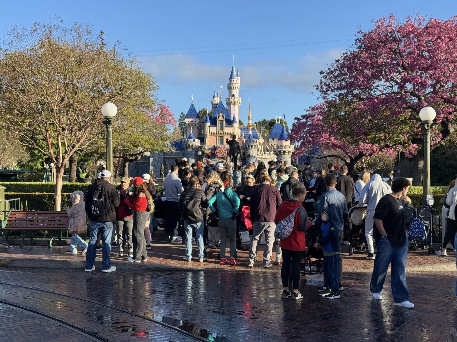 Complete Guide to Disneyland Rope Drop