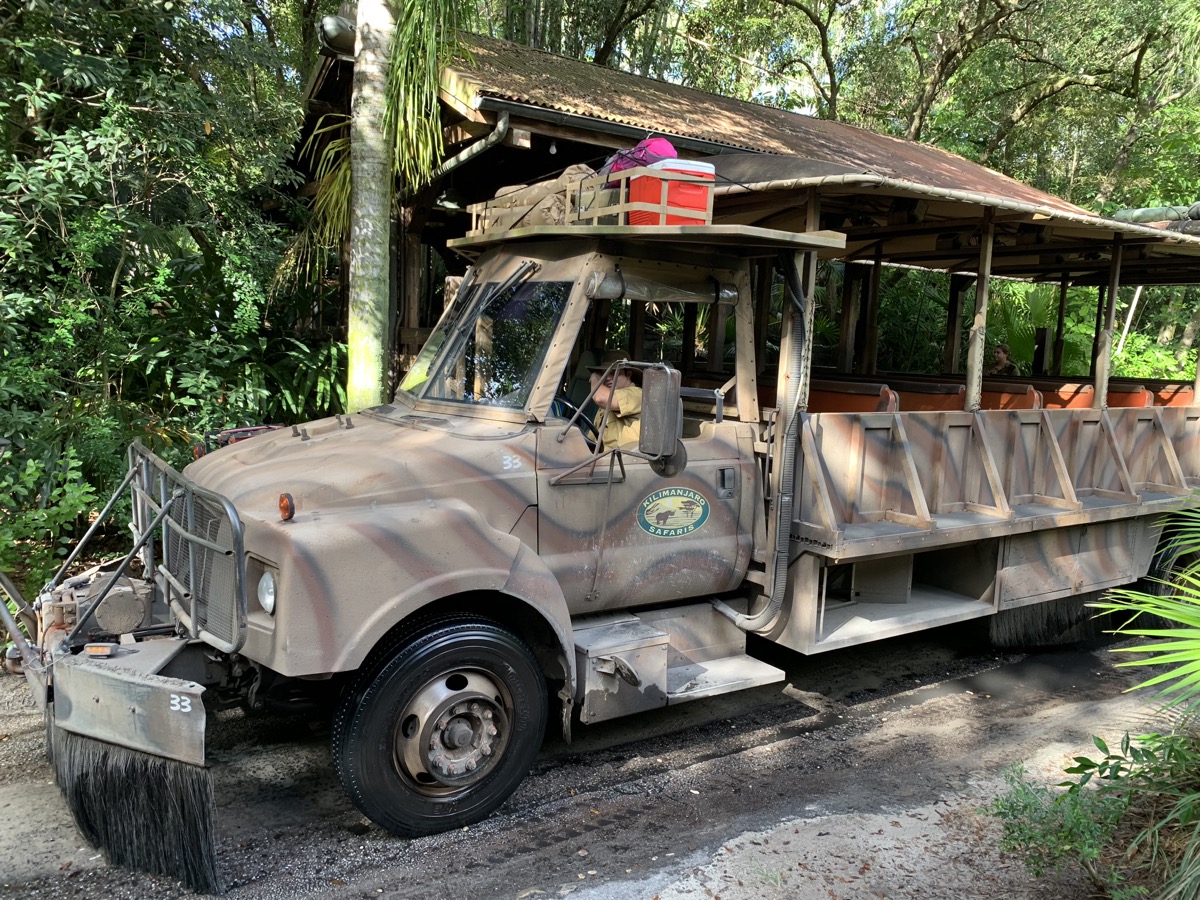 animal kingdom safari driver