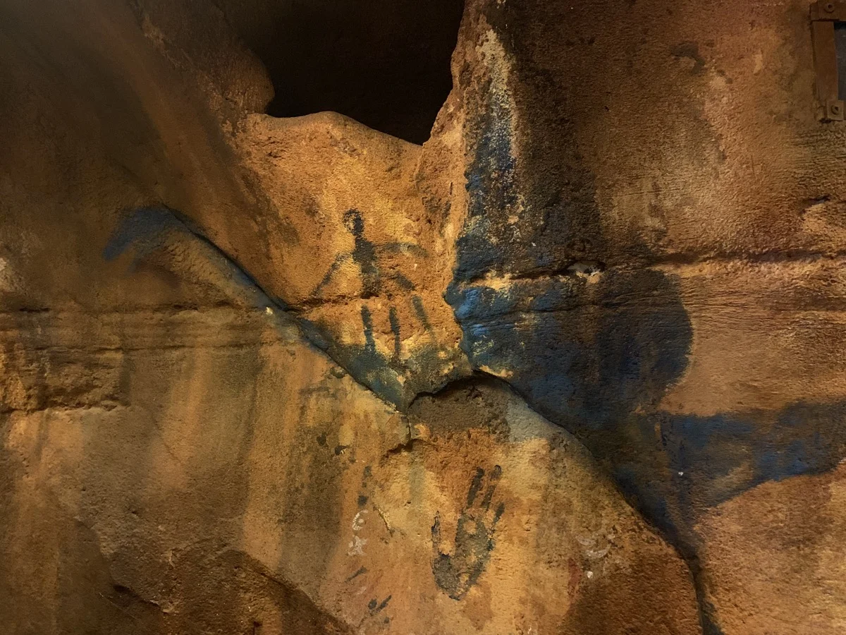 pandora world of avatar - flight of passage queue drawing.jpg