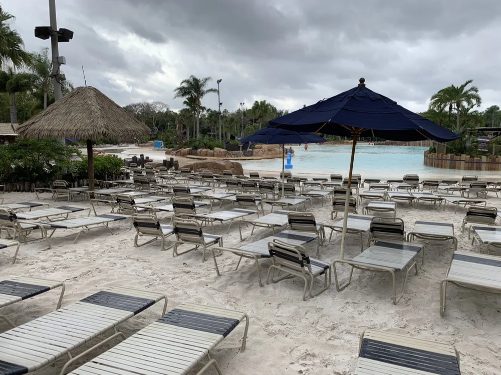 Complete Guide to Disney's Typhoon Lagoon Water Park (2024)