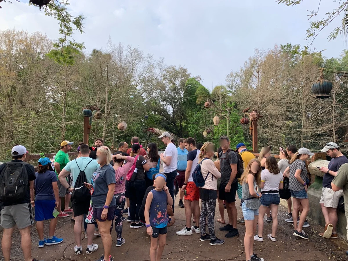 disney animal kingdom rope drop corralling 1.jpeg
