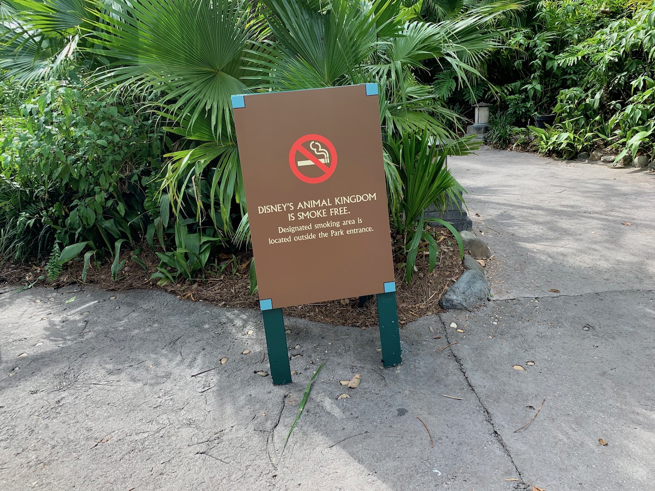 disney world trip report early summer 2019 day 1 15 smoking.jpeg
