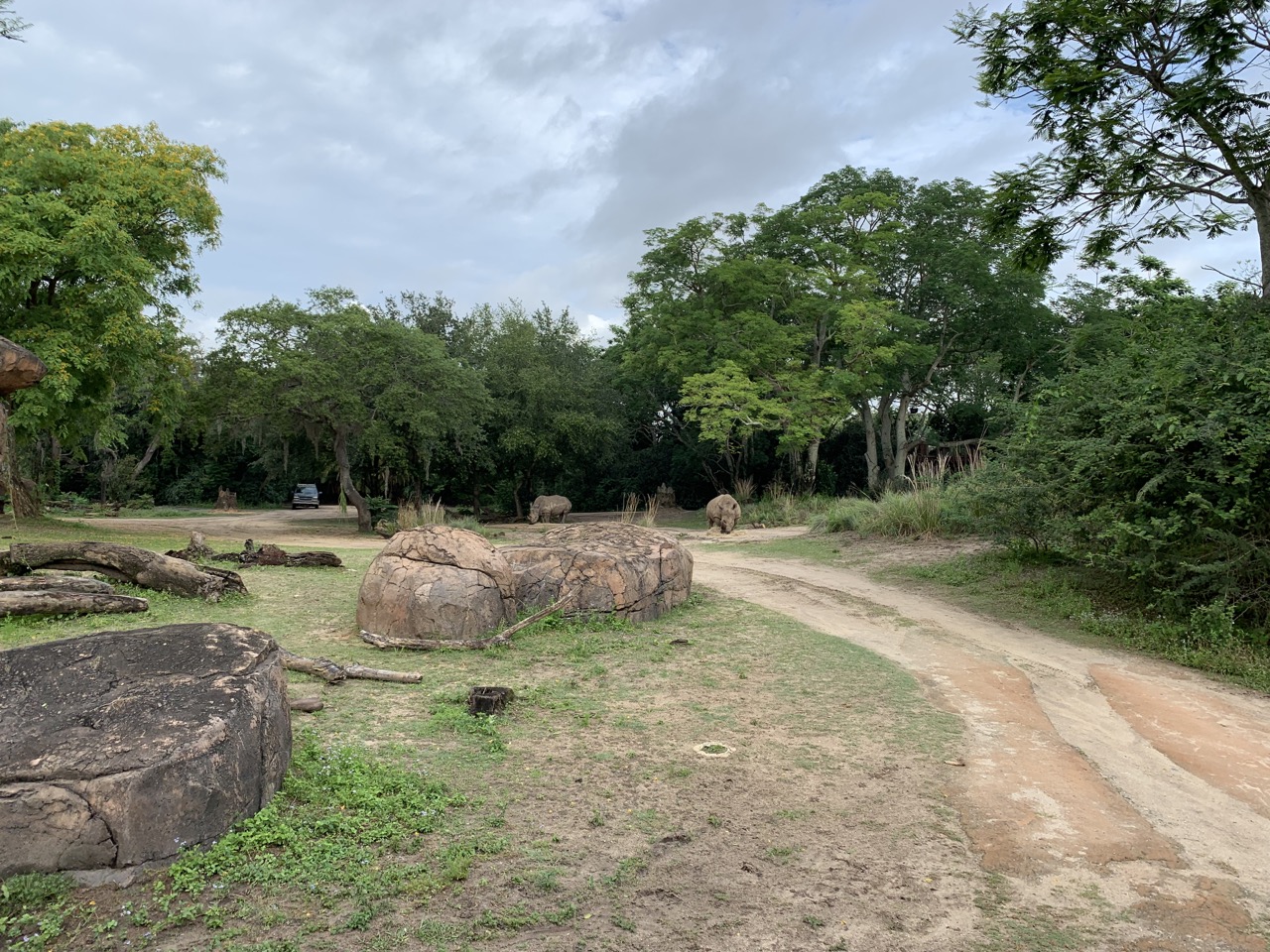 disney world trip report early summer 2019 day three 47 safari.jpeg