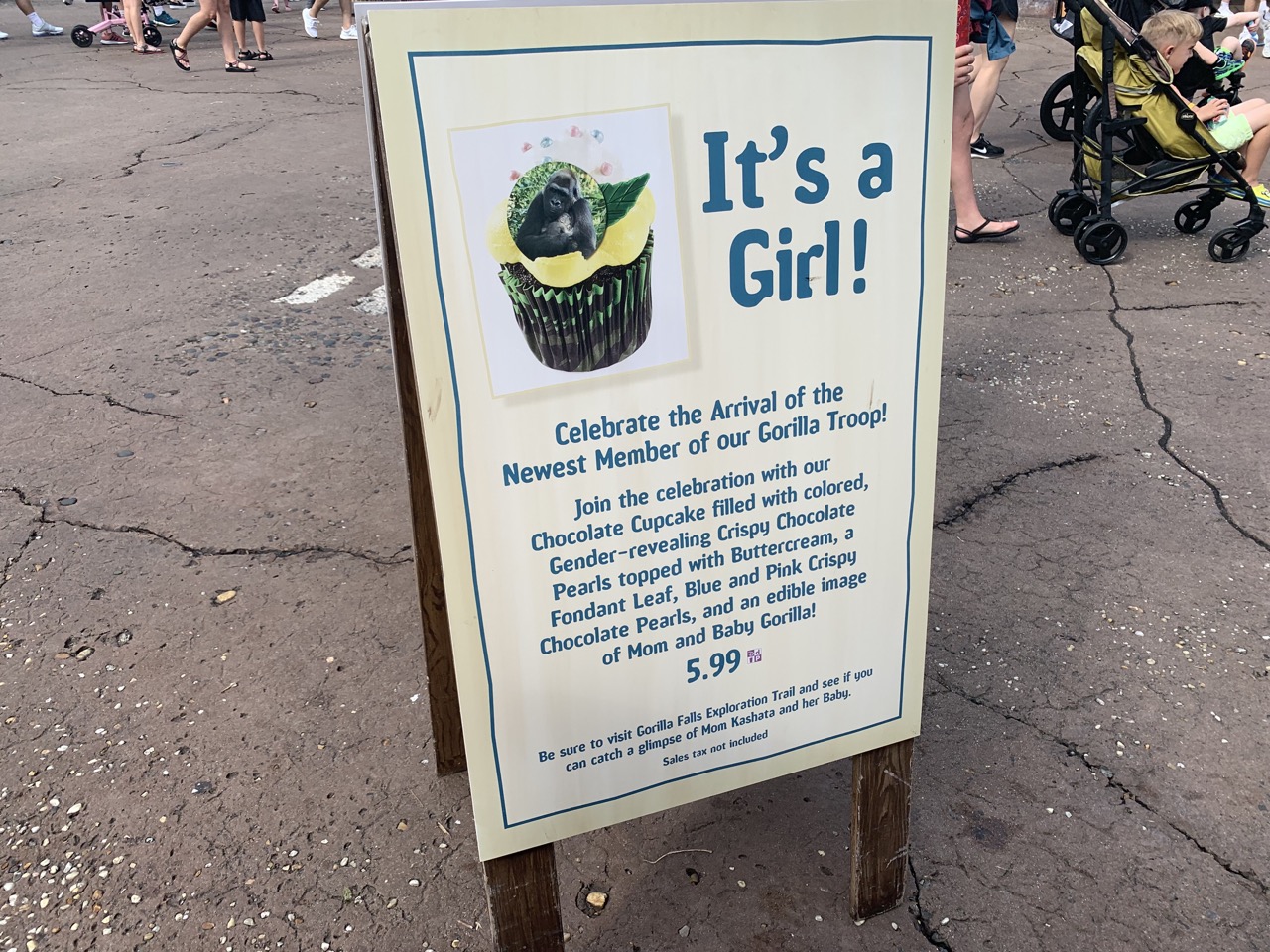 disney world trip report early summer 2019 day three 58 tamu sign.jpeg