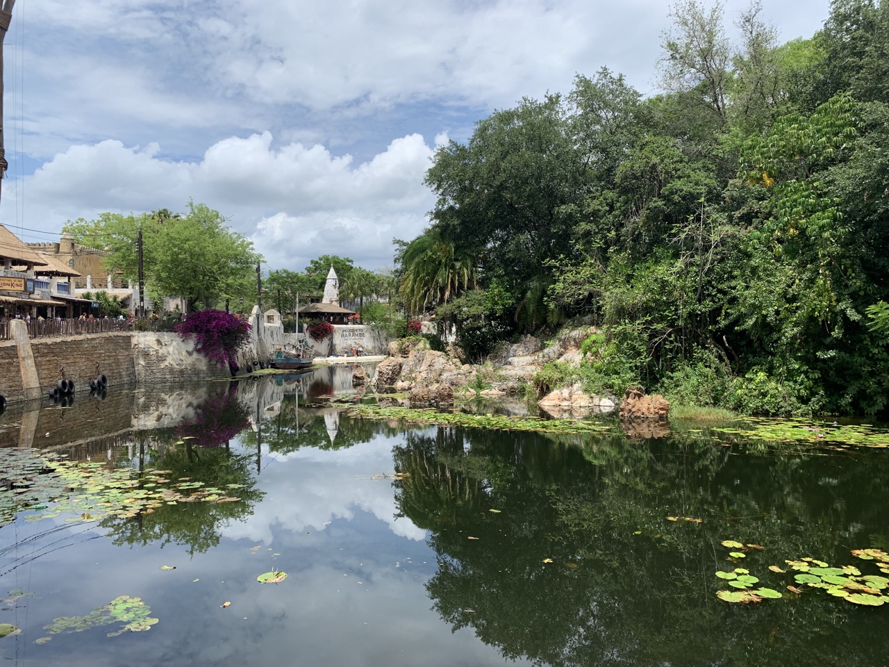 disney world trip report early summer 2019 day three 93 scenery.jpeg