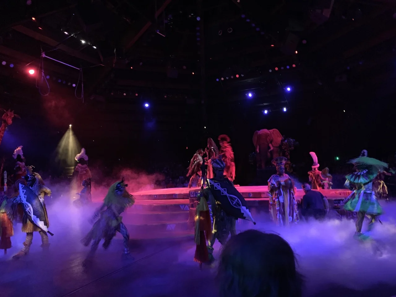 disney world trip report early summer 2019 day three 107 lion king.jpeg