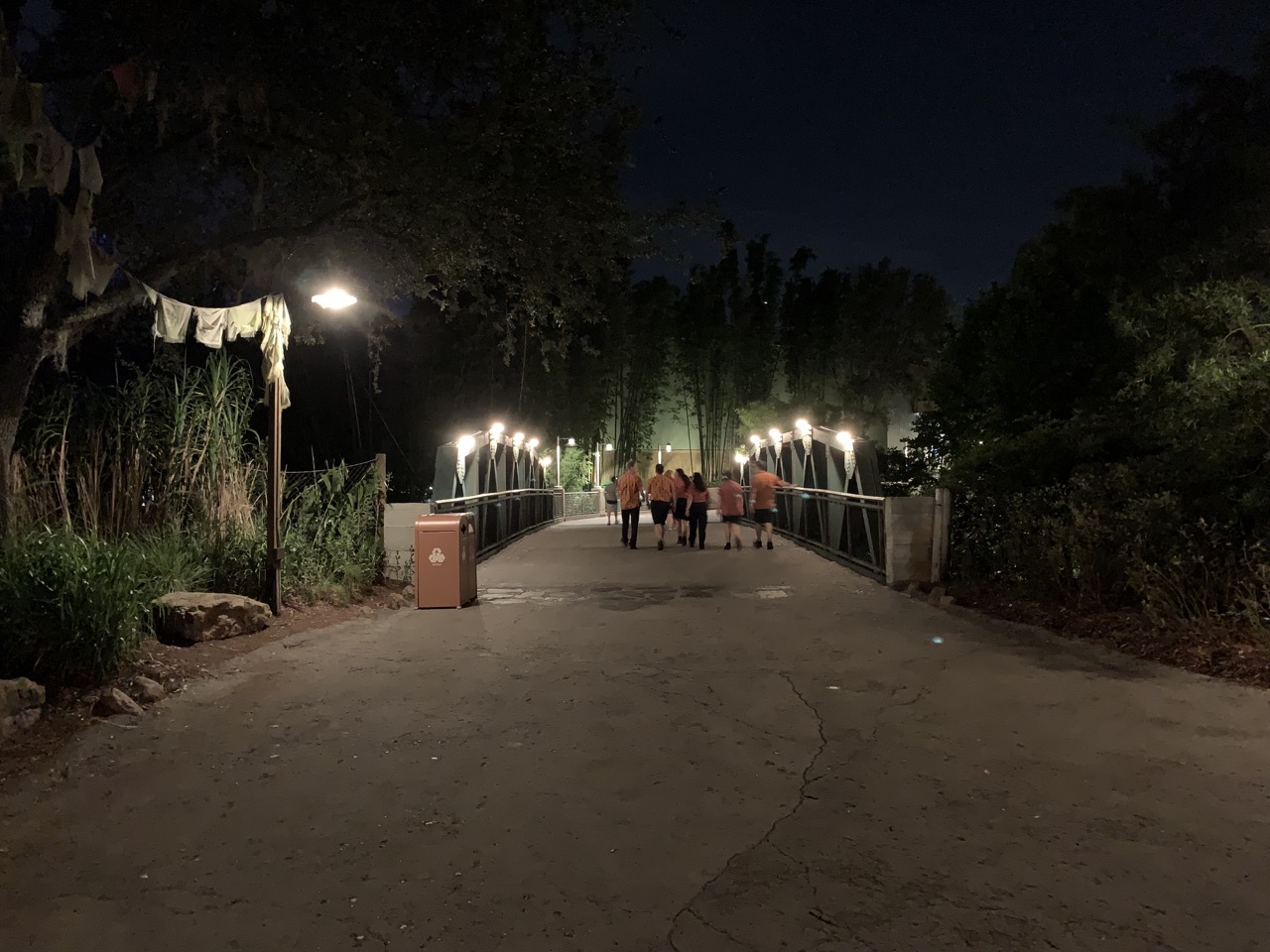 disney world animal kingdom after hours 19 empty.jpeg