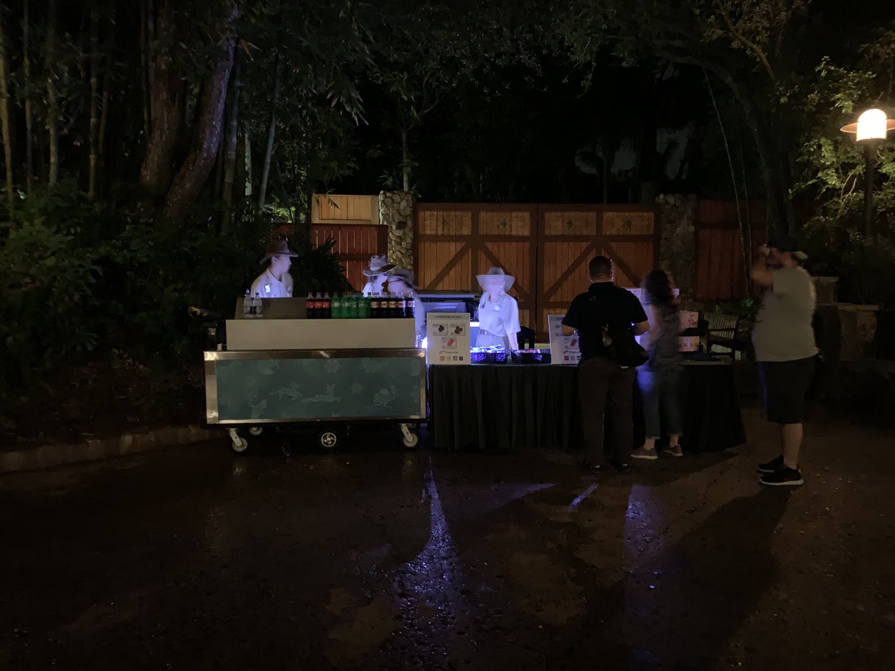 disney world animal kingdom after hours 33 snacks.jpeg