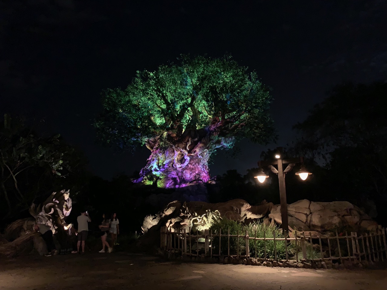 disney world animal kingdom after hours 38 tree of life.jpeg