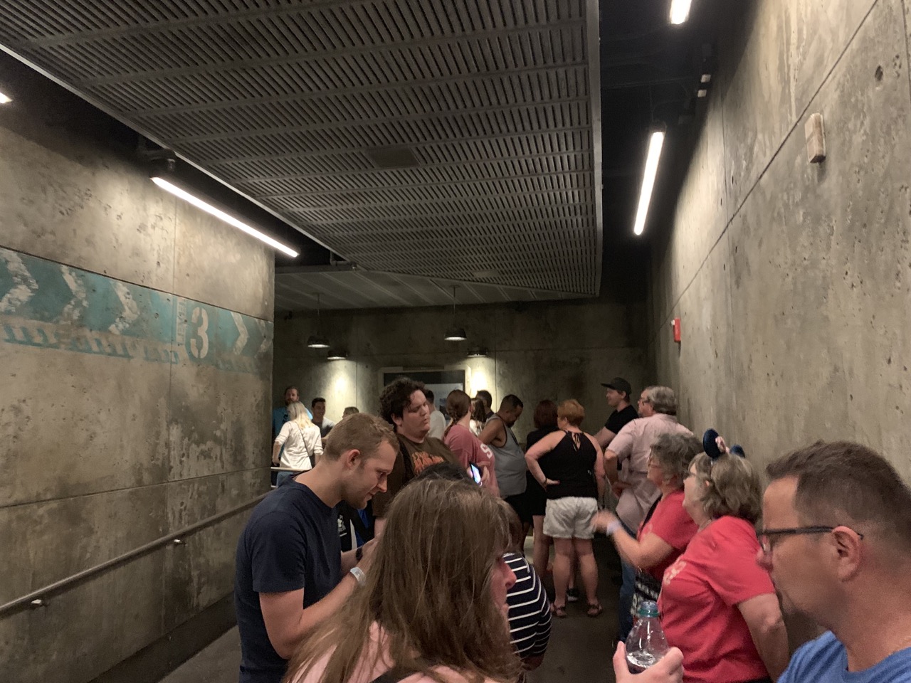 disney world animal kingdom after hours 13 flight of passage.jpeg