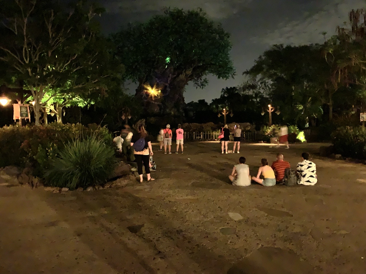 disney world animal kingdom after hours 30 awakenings.jpeg