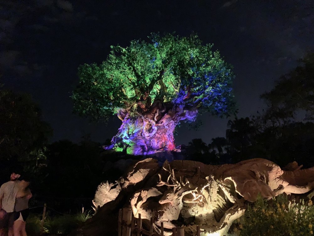 Animal Kingdom After Hours Review - Mouse Hacking