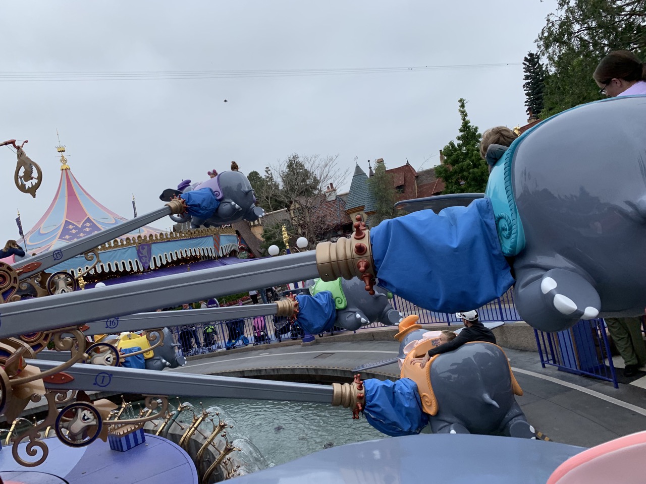 disneyland trip report day 5 13 dumbo.jpeg