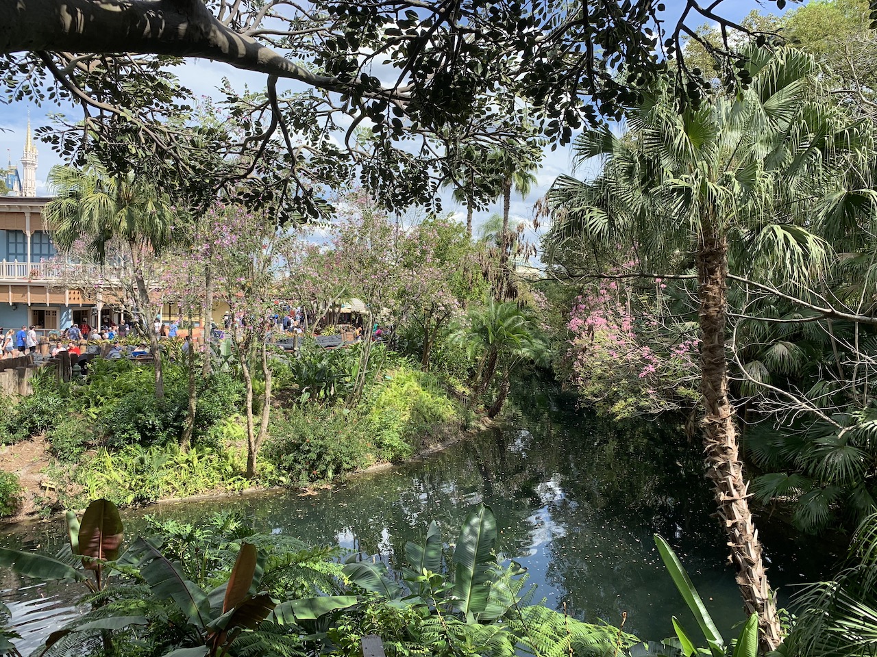 magic kingdom rides 33 treehouse.jpeg