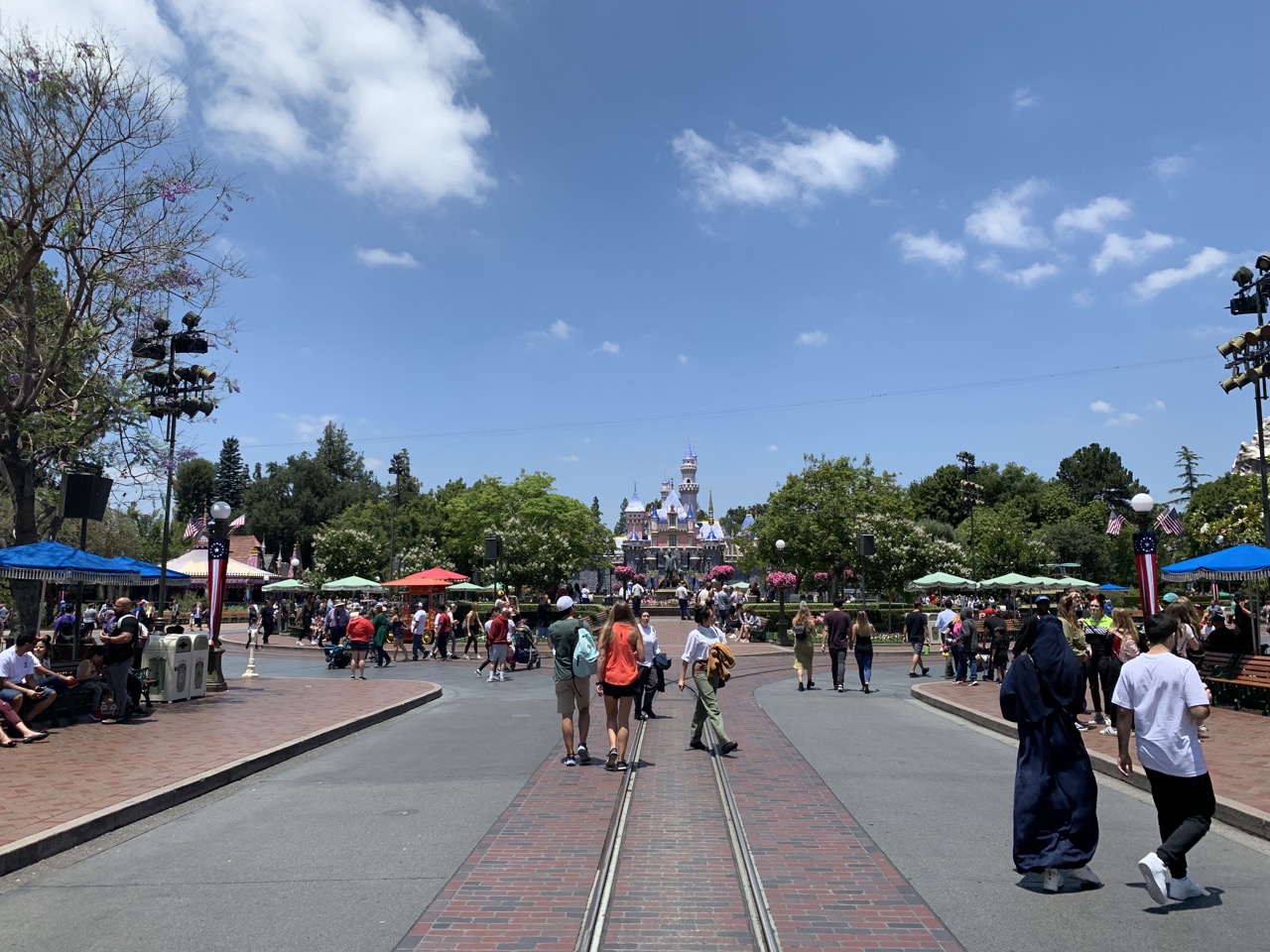 disneyland trip report june 2019 part 2 15 crowds.jpeg