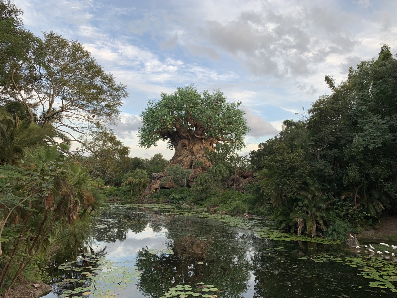 Complete Guide to DINOSAUR at Animal Kingdom - WDW Prep School