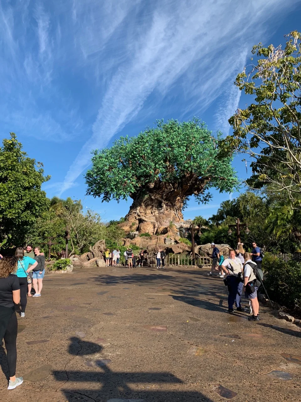 disney animal kingdom hours 02 tree.jpeg