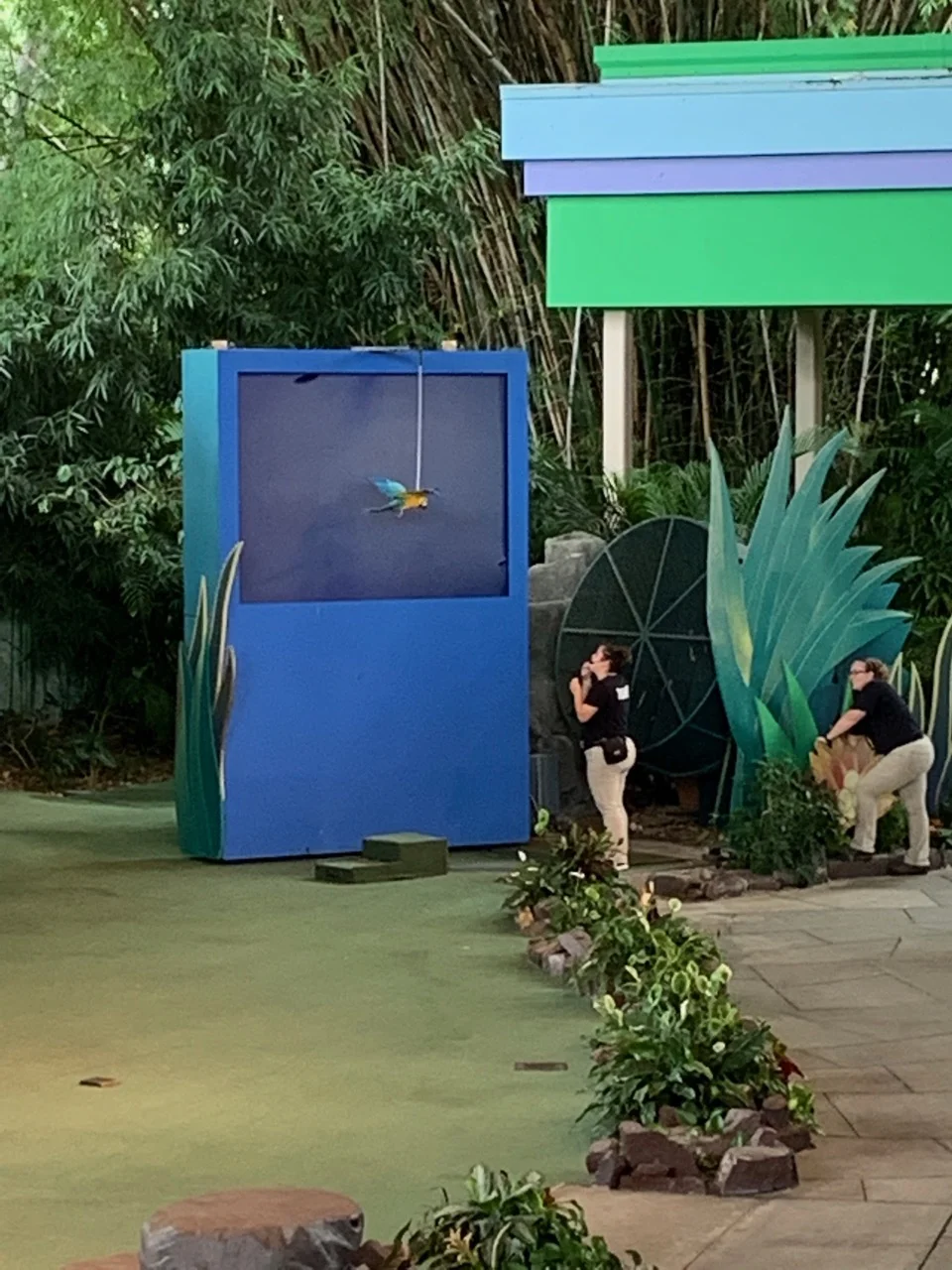 universal orlando summer 2019 trip report part 3 bird.jpeg