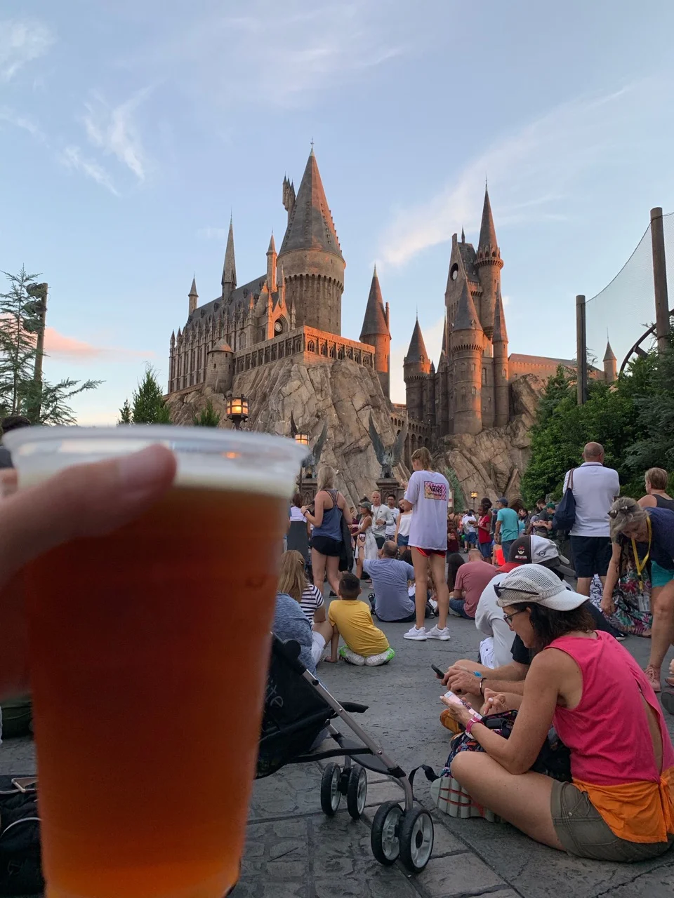 universal orlando summer 2019 trip report part 5 hogwarts beer.jpeg