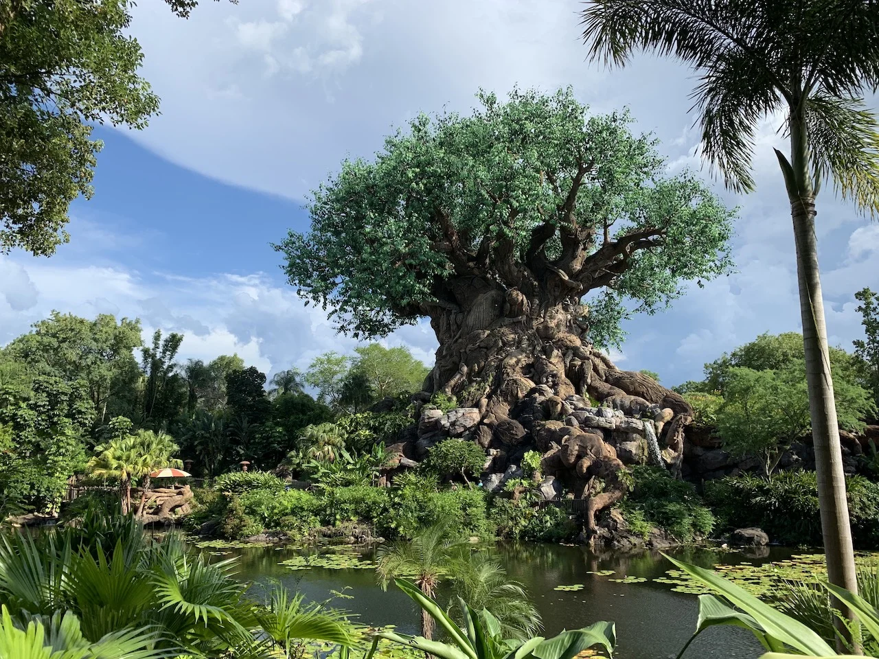 Disney World Galaxy's Edge Opening Trip Report Part 4