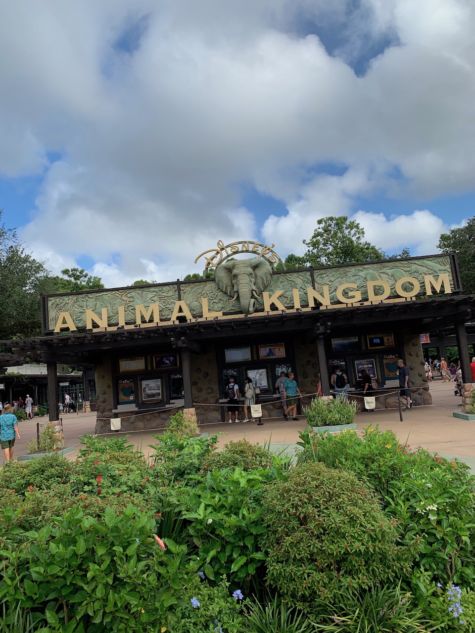 DINOSAUR  Disney world attractions, Animal kingdom disney, Animal kingdom  theme park