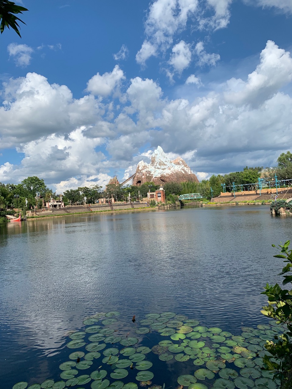 disney animal kingdom best quick service flame tree barbecue seating 03.jpeg