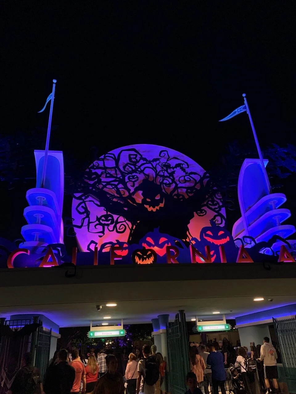 halloween at dca entry.jpeg