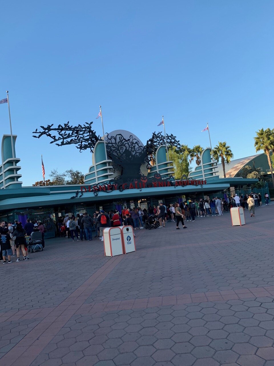 dca rope drop 1.jpeg