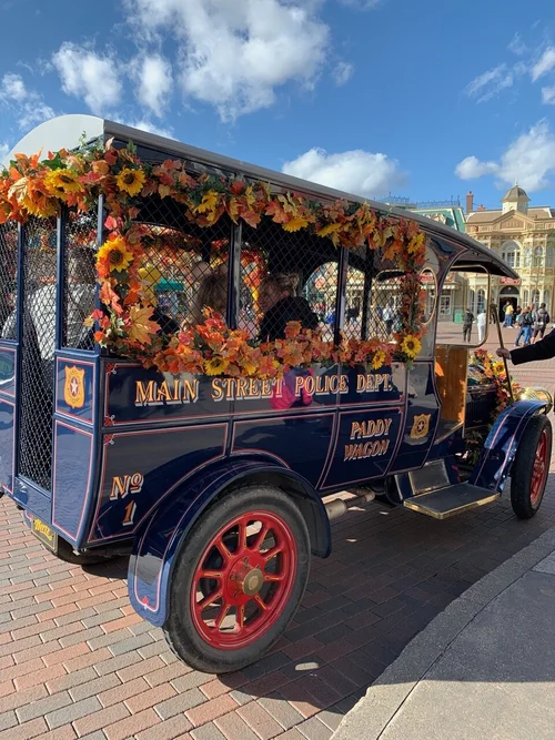 Disneyland Paris Rides and Attractions Guide
