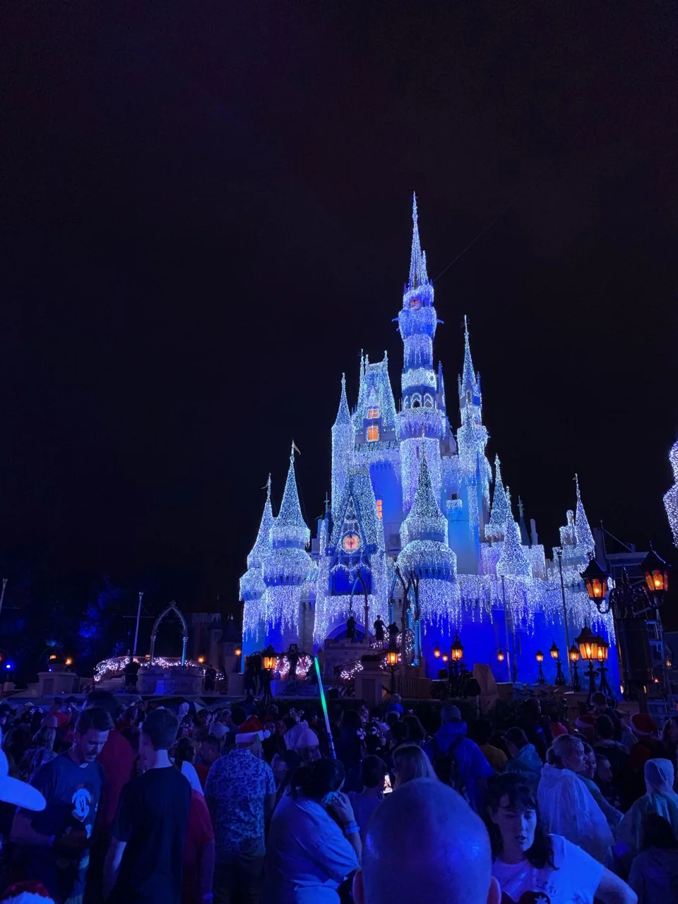 Disney World Holiday Season 2019 Trip Report Part 1