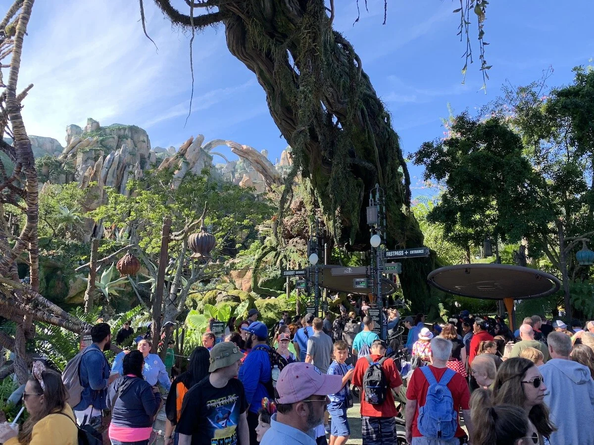 Disney World Crowd Calendars 2020 Mouse Hacking