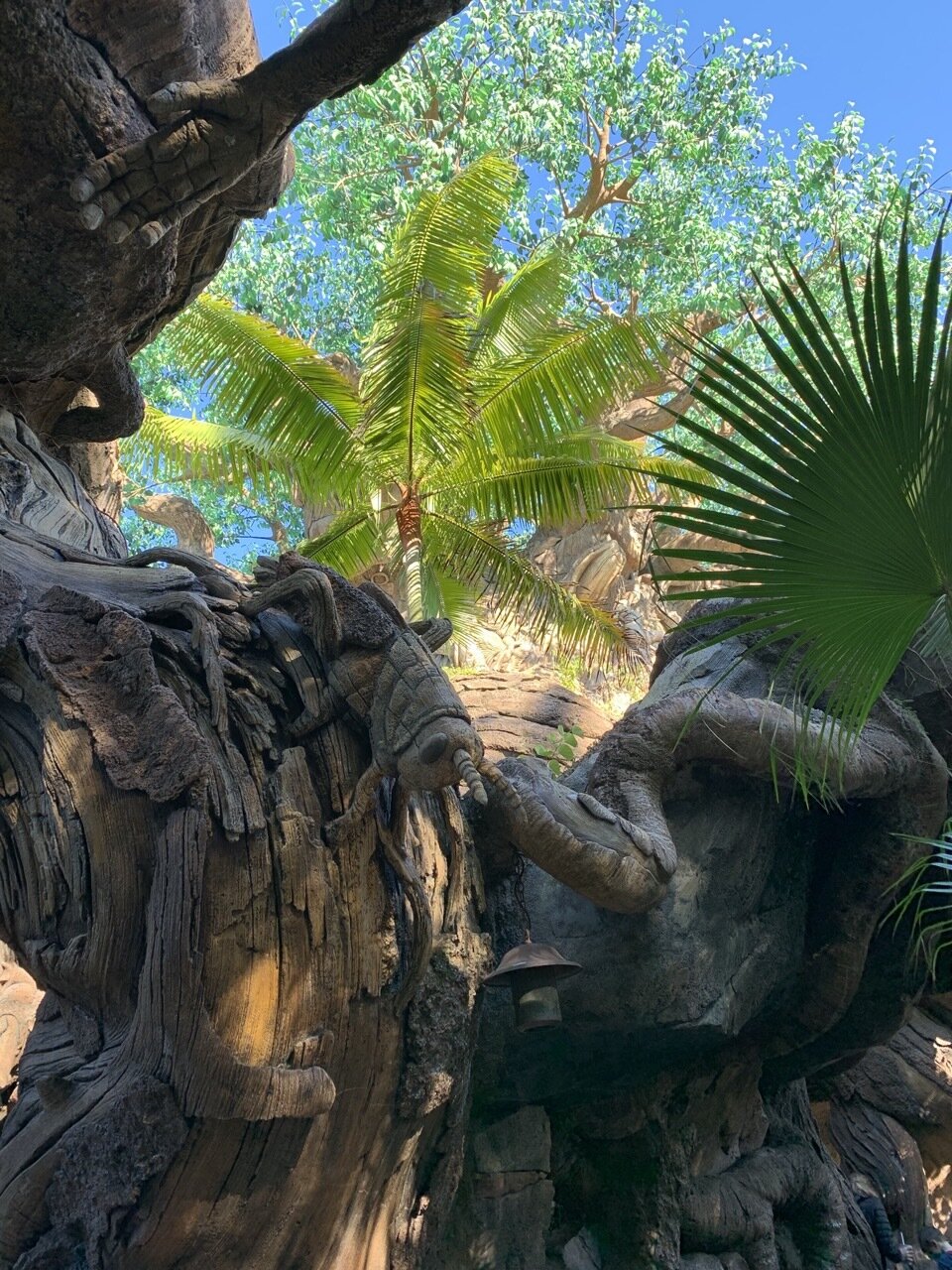 animal kingdom tree of life up close discovery island trail 06.jpeg