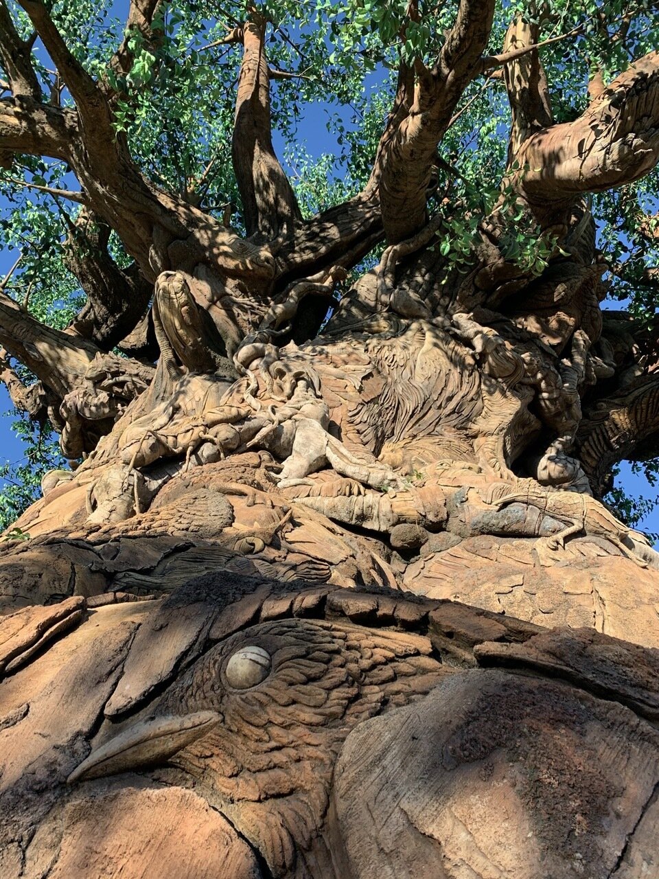 How To See The Tree Of Life At Animal Kingdom Up Close - Mouse Hacking How To See The Tree Of Life At Animal Kingdom Up Close - Mouse Hacking
