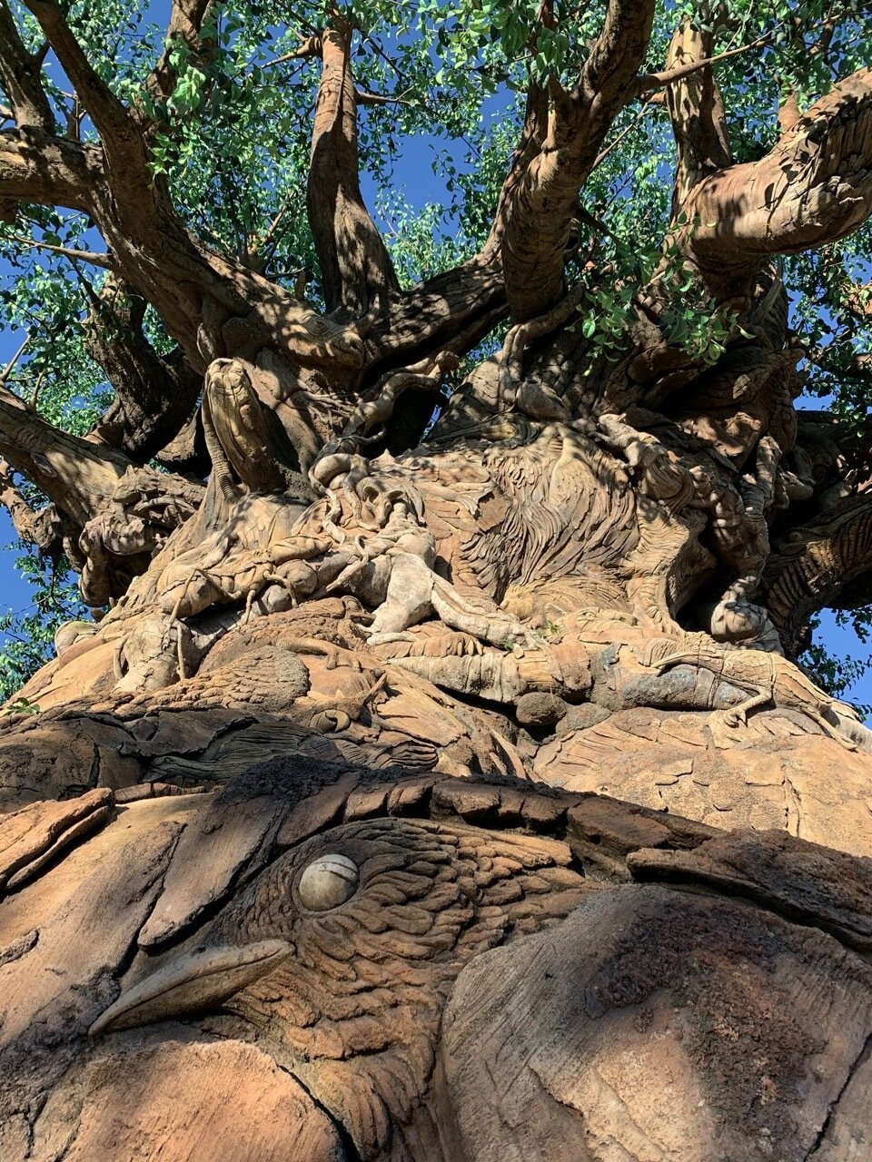 animal kingdom tree of life up close garden 04.jpeg